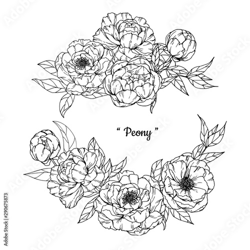 Peony flower and leaves pattern seamless background illustration.