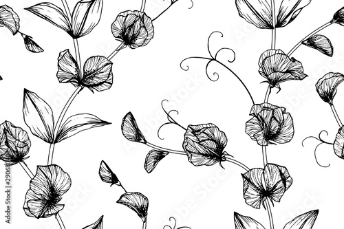 Sweet pea flower and leaf flower and leaves pattern seamless background illustration.