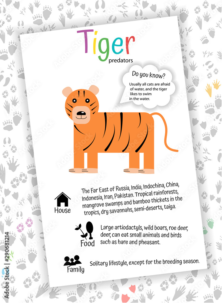 Orange cartoon tiger on white background. Educational card for children, home education, preschoolers, learning English. Interesting facts, habitat, nutrition