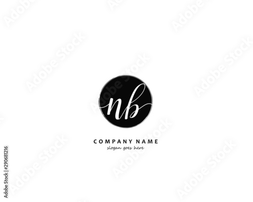 NB Initial letter logo template vector