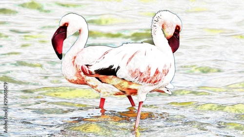 Close up of two Flamingos early in the morning