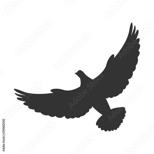 Dove flies. Symbol bird isolated on white background. Vector illustration.