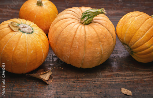 Yellow round festive pumpkins on old surface. October  Halloween. Copy space.