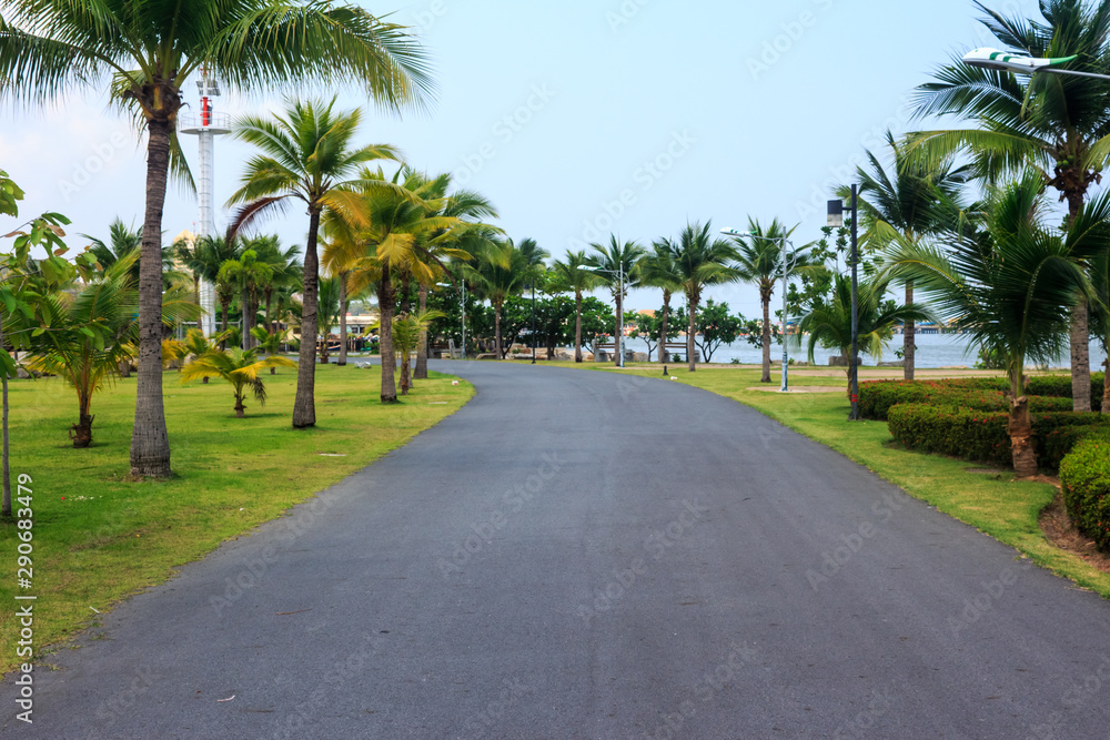 Road in the park