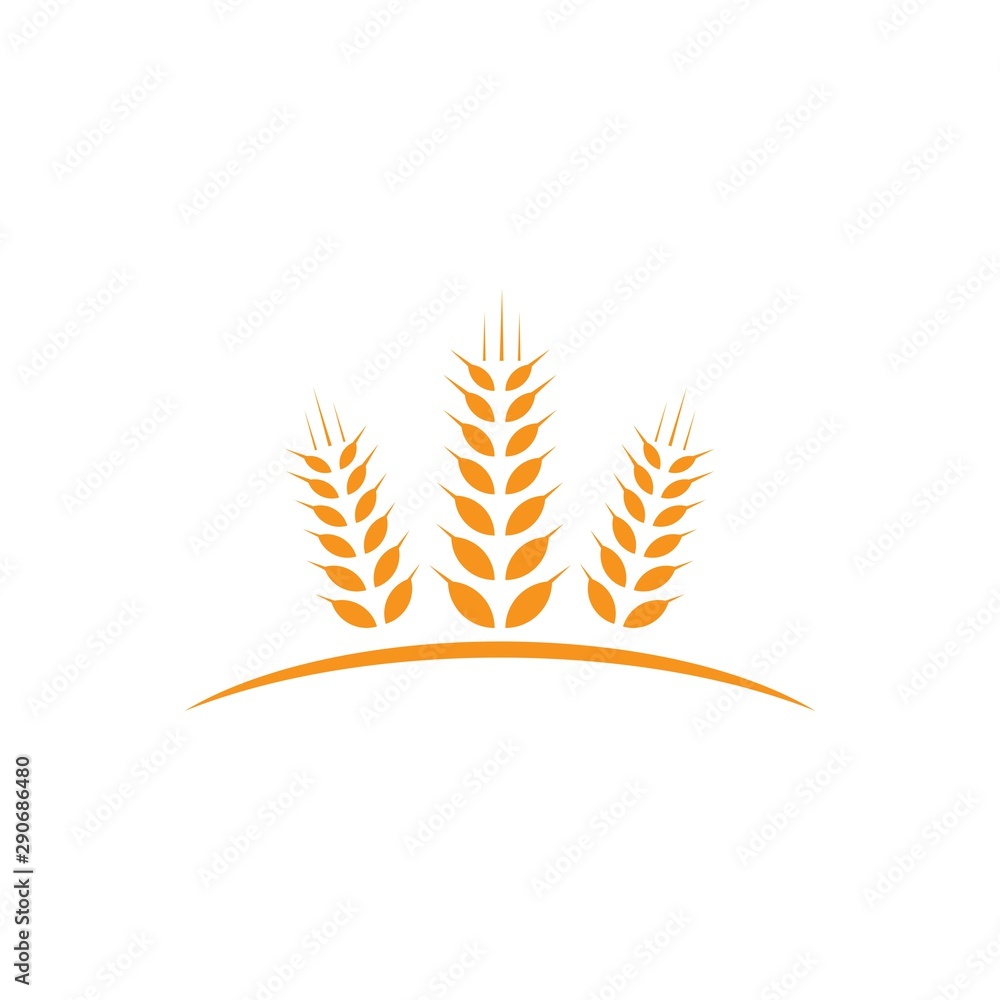 Wheat Logo Wheat Logo