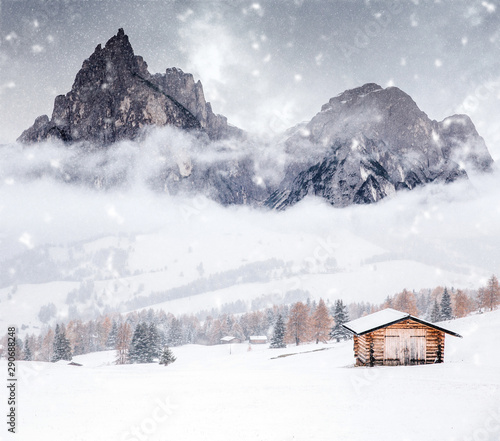 Fairy-tale winter landscape. © belyaaa