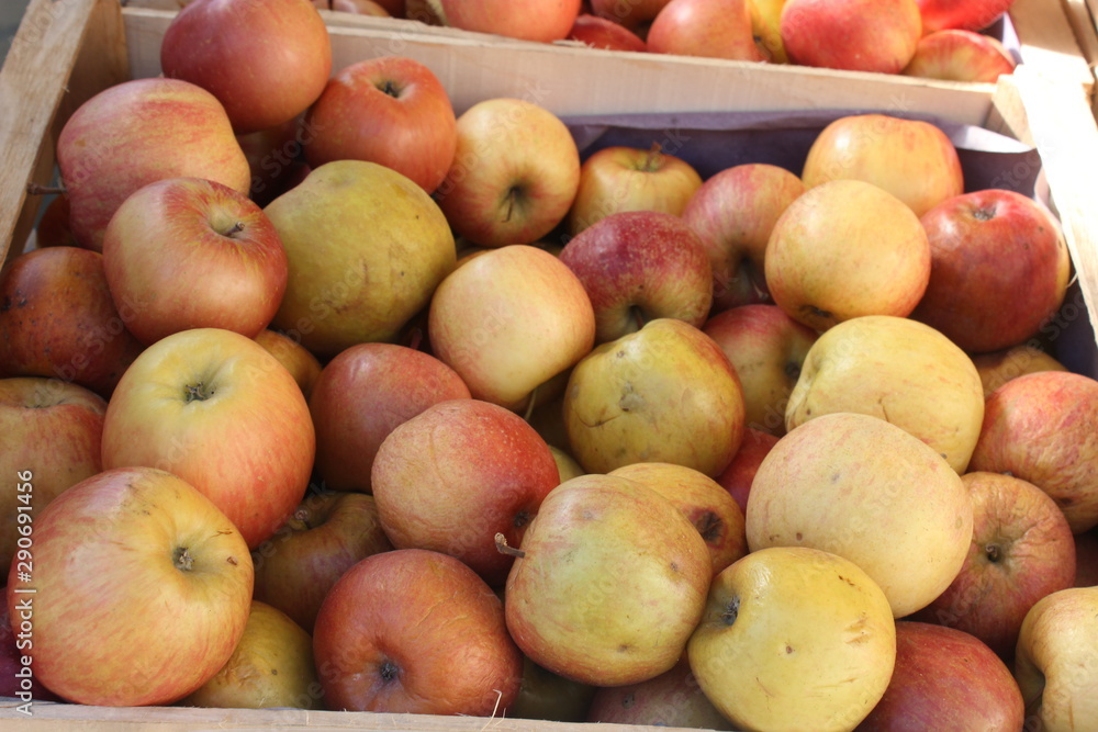 Authentic fresh fuji apples presented on a food market. Authentic fresh fuji apples presented on a food market.
