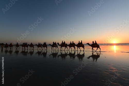 Silhouette of tourists on camel ride Cable Beach Broome Kimberley Western Australia