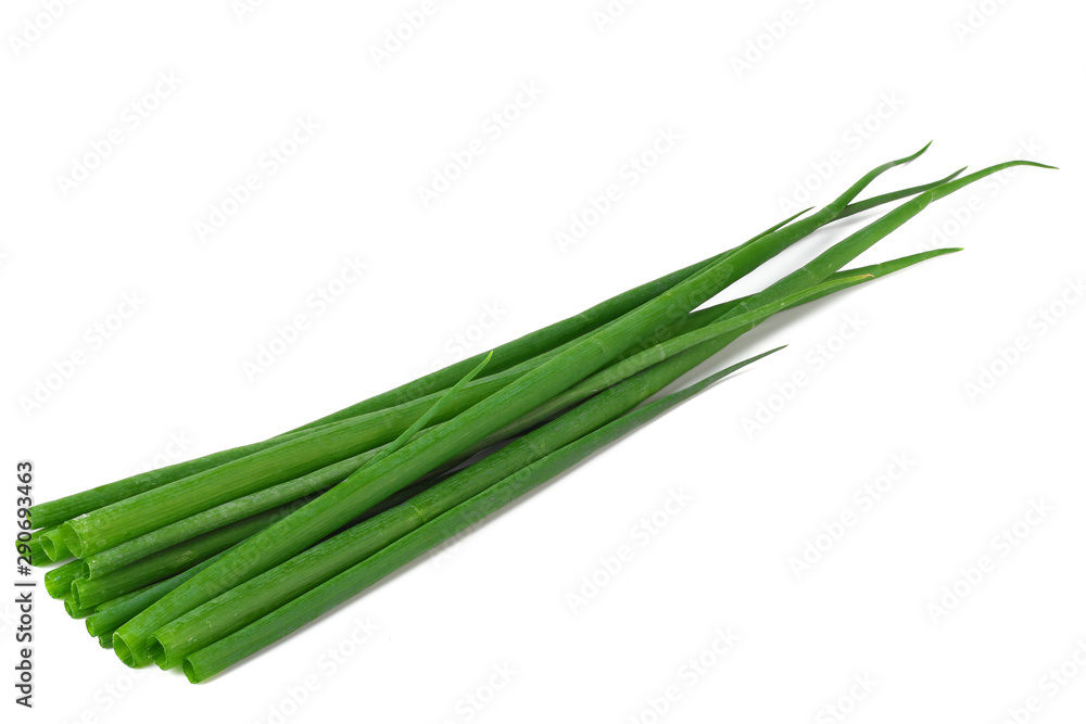 cut of green onion isolated on white background cut of green onion isolated on white background