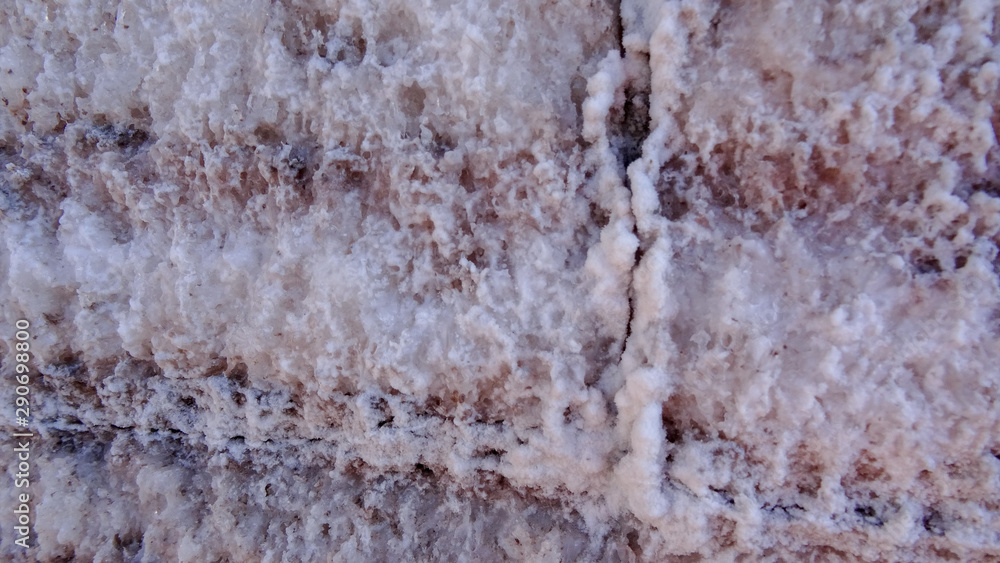 Obraz premium Plateau Altiplano with very untypical nature in Bolivia