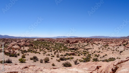 Plateau Altiplano with very untypical nature in Bolivia