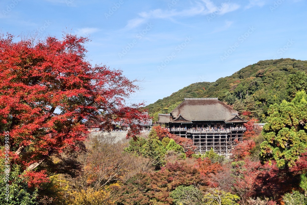 Kyoto Kiyomizu-dera Temple. Autumn foliage in Japan.
