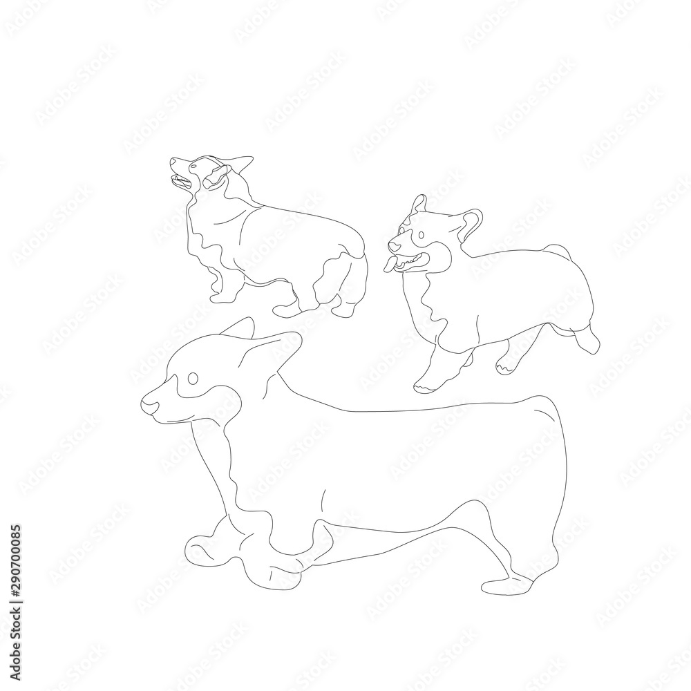Set of corgi dogs. Isolated on white background. Flat style cartoon stock vector