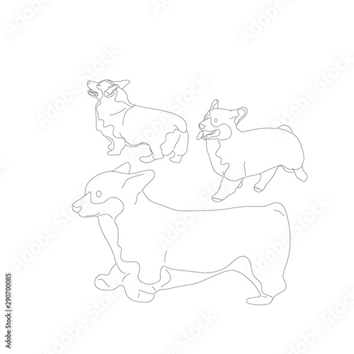 Set of corgi dogs. Isolated on white background. Flat style cartoon stock vector