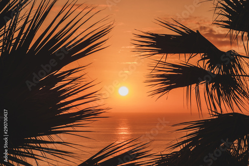 Wallpaper Mural  sunset sky with ocean background and palm tree silhouette - Torontodigital.ca