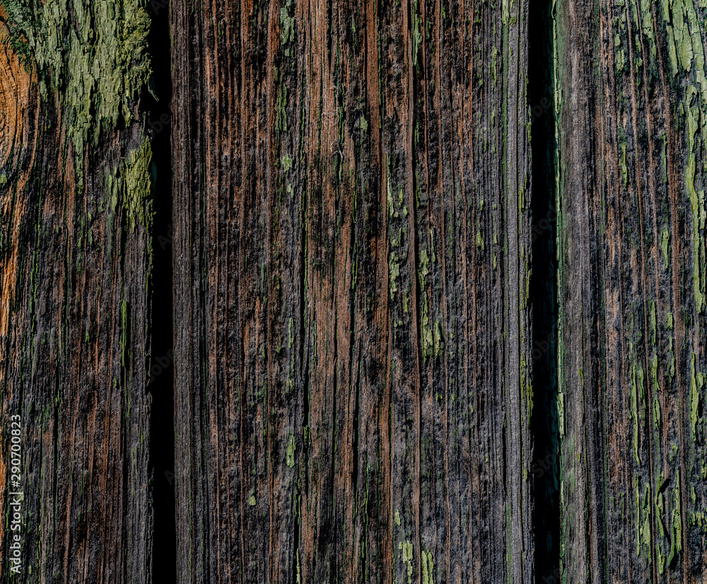 Gray boards with peeling green paint texture. Vertical boards with different lines, scuffs. Cracks between boards. Background