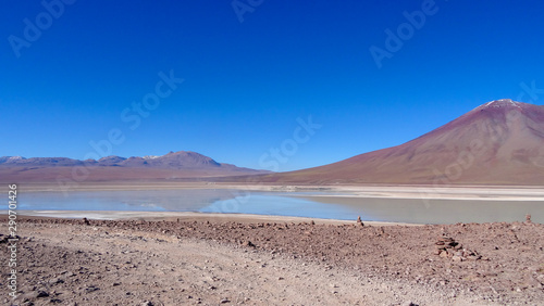 Plateau Altiplano with very untypical nature in Bolivia