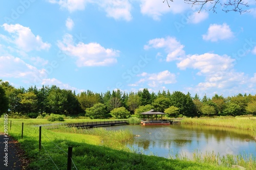 風景 池 空 秋 杤木 日本