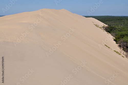 France  Aquitaine  la dune du Pilat c  t   for  t  c est la plus haute dune d Europe  elle culmine    106 m  tres  elle est situ  e    l entr  e du bassin d Arcachon