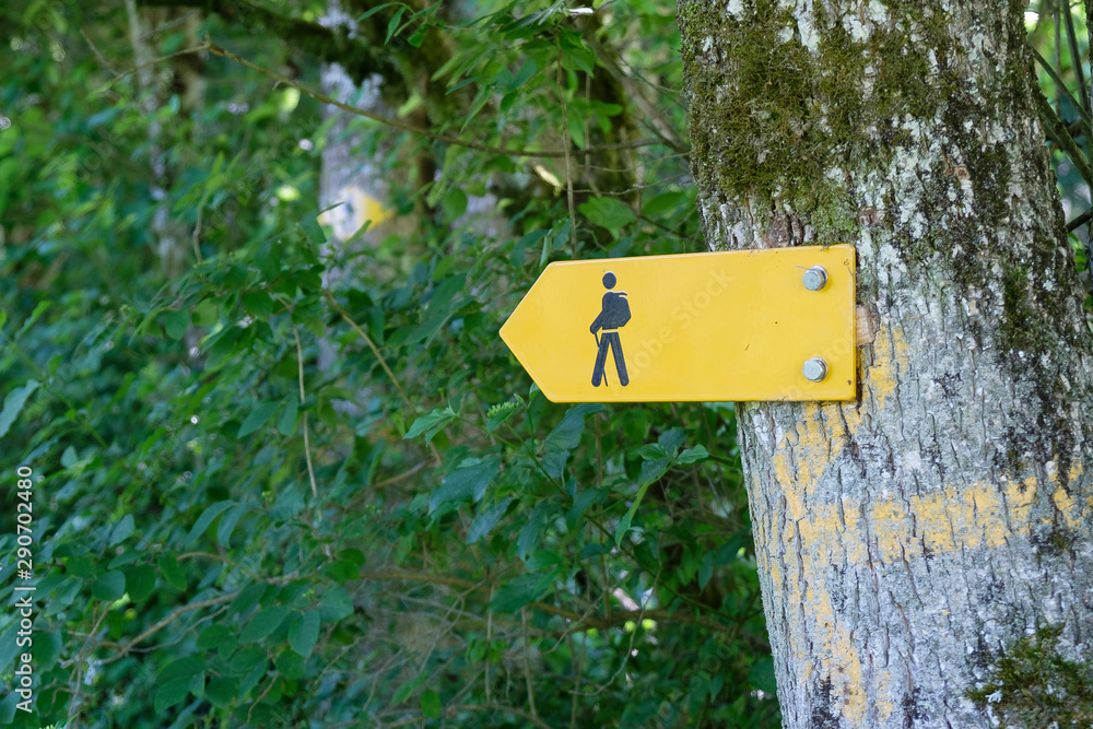 Yellow sign for swiss hiking trails on a tree points to the left Yellow sign for swiss hiking trails on a tree points to the left