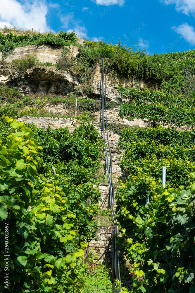 Steillagenweinbau bei Lauffen am , Treppe aus Sandsteineckar