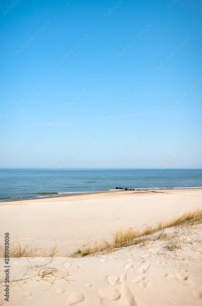 Photo of a sea coast sand dune on a sunny day