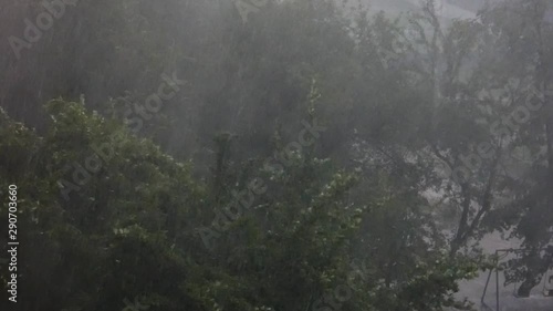 Storm in the town - trees under strong wind and rain, view from above. Lot of water drops in air. Rainy day, bad weather.