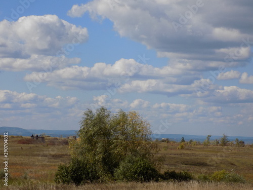Beautiful summer landscape. Wide steppe, high blue sky with snow-white clouds. Space and freedom.