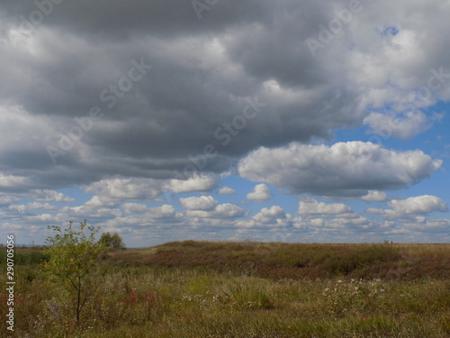 Beautiful summer landscape. Wide steppe, high blue sky with snow-white clouds. Space and freedom.