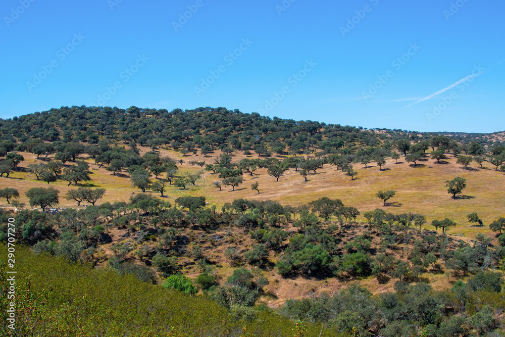 Fototapeta premium Typical landscape of Alentejo, Barrancos, Portugal