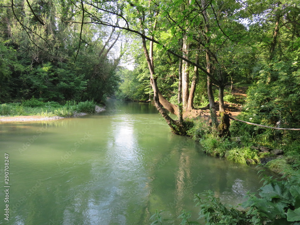 Obraz premium Riverbank during summer afternoon 2019
