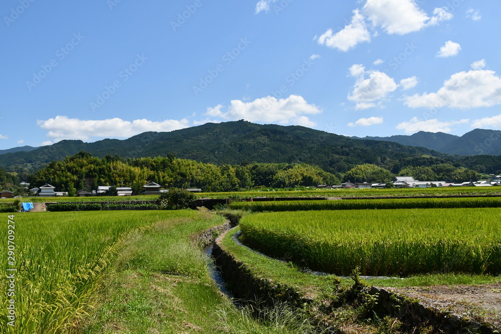 Obraz premium 明日香村