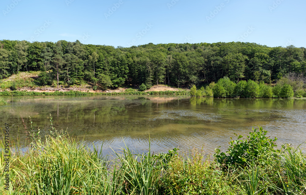 Ponds of Mauldre in Yvelines country 