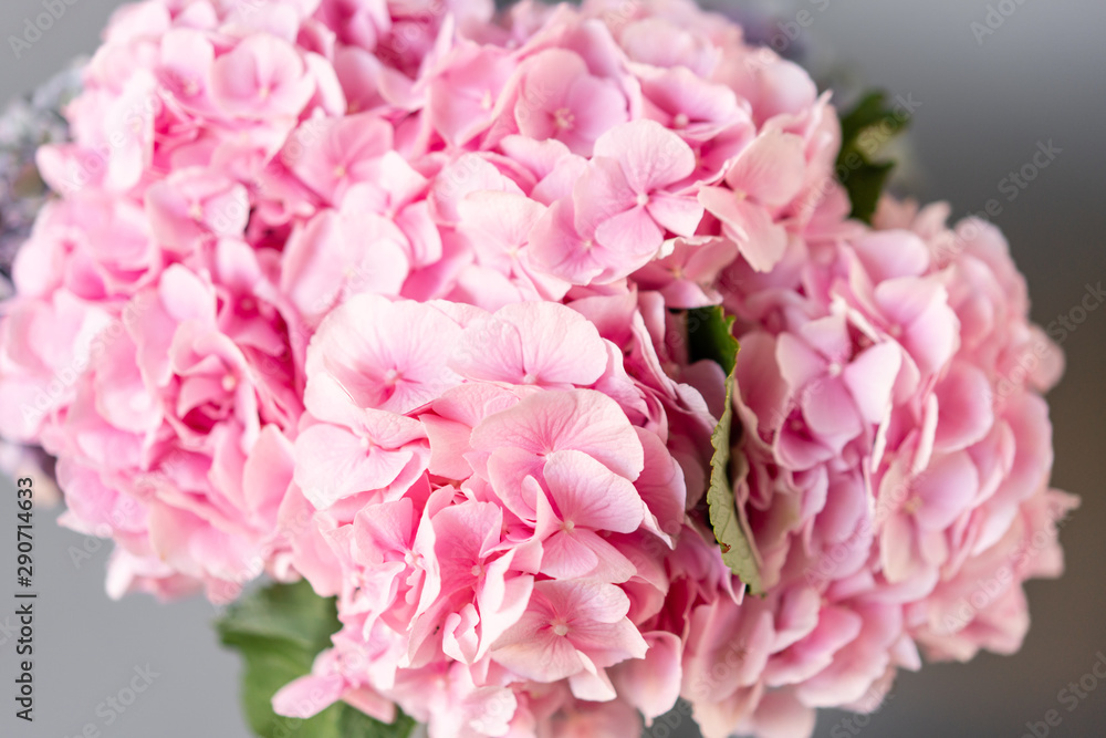 Selective focus. beautiful hydrangea flowers in a vase on a table . Bouquet of light pink flower. Decoration of home. Wallpaper and background. Selective focus. beautiful hydrangea flowers in a vase on a table . Bouquet of light pink flower. Decoration of home. Wallpaper and background.