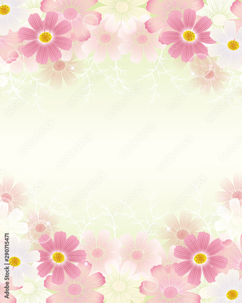 Autumn background with cosmos flowers