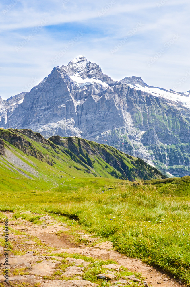 Vertical photography of beautiful Swiss Alps in summer. Famous mountains Jungfrau, Eiger and Monch in the background. Hiking path, trail. Alpine landscape. Outdoor. Switzerland landscapes