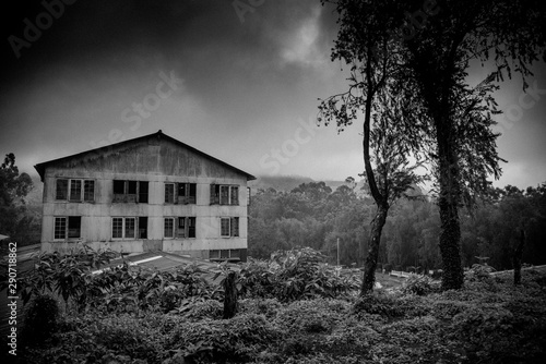 old house in the forest