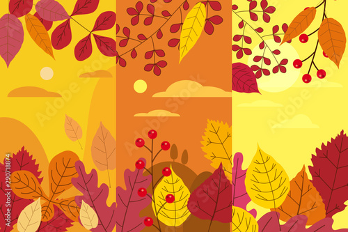 Set colorful autumn templates of autumn fallen leaves orange yellow foliage. Backgrounds social media stories banners © hadeev