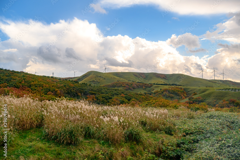 Fototapeta premium Windmill farm for green & clean energy concept to generate electricity without polution