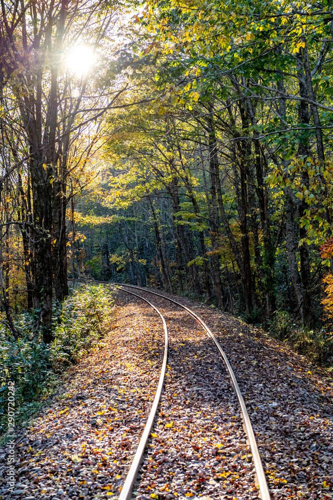 Scenic route along old railway in Hokkaido during autumn season