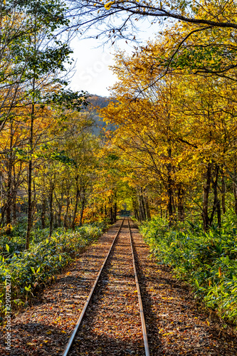 Scenic route along old railway in Hokkaido during autumn season