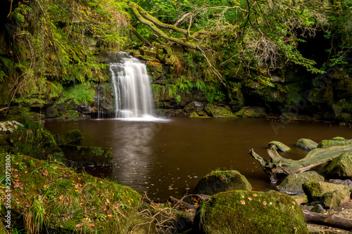 Thomason Foss Waterfall Autumn/Autumnal woodland in the North York Moors National Park with golden brown leaves flowing on a stream.