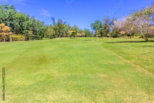 golf course in park