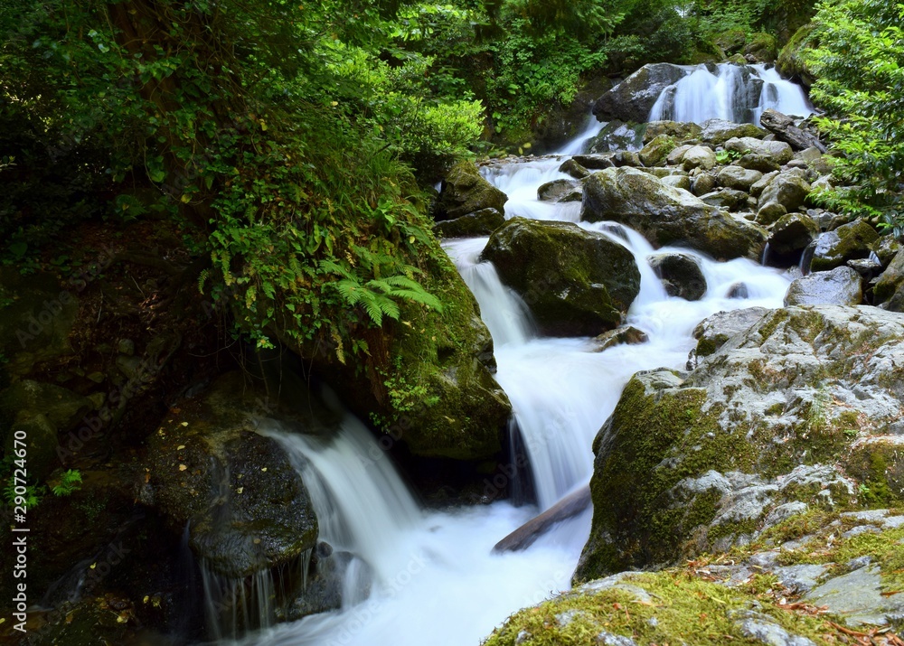 waterfall in forest