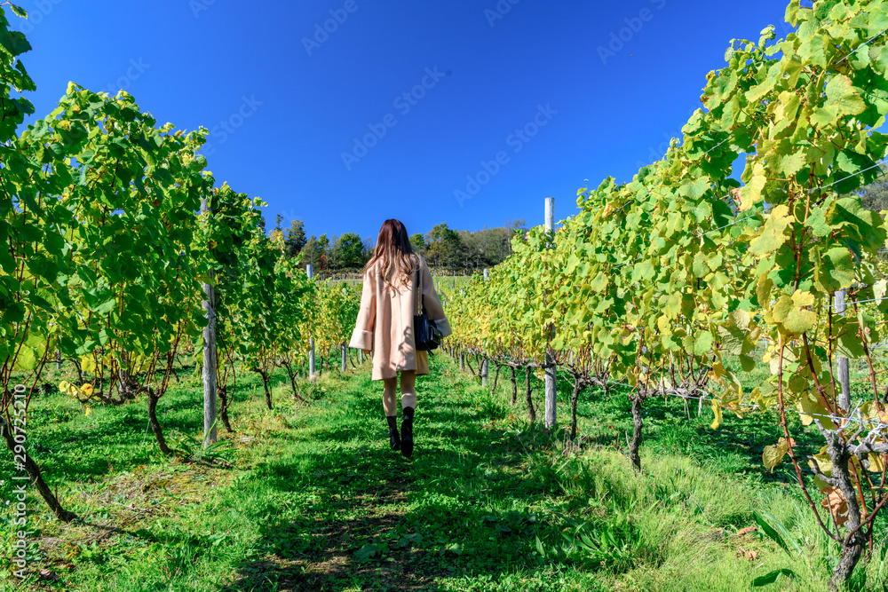 Nice shape women walking in the vineyard concept for winery tourism