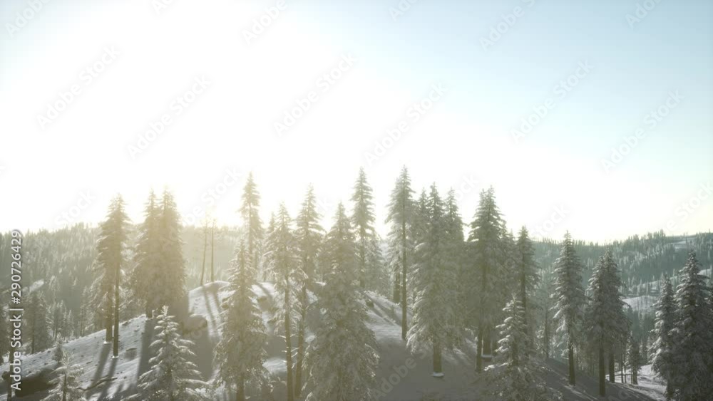 scenic mountain landscape on a winter sunny day, fog in the low areas scenic mountain landscape on a winter sunny day, fog in the low areas