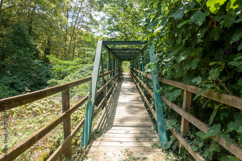 The green way of the carrilet path of Olot