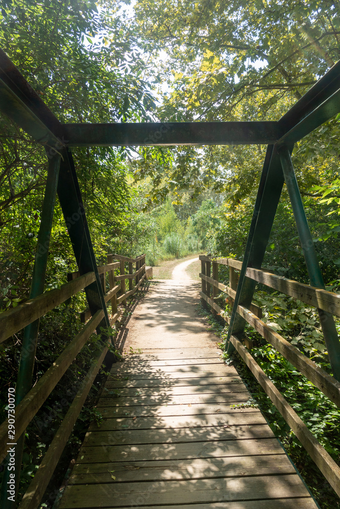 The green way of the carrilet path of Olot The green way of the carrilet path of Olot