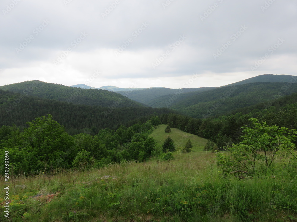 Naklejka premium Hill pastures with light slope elevations