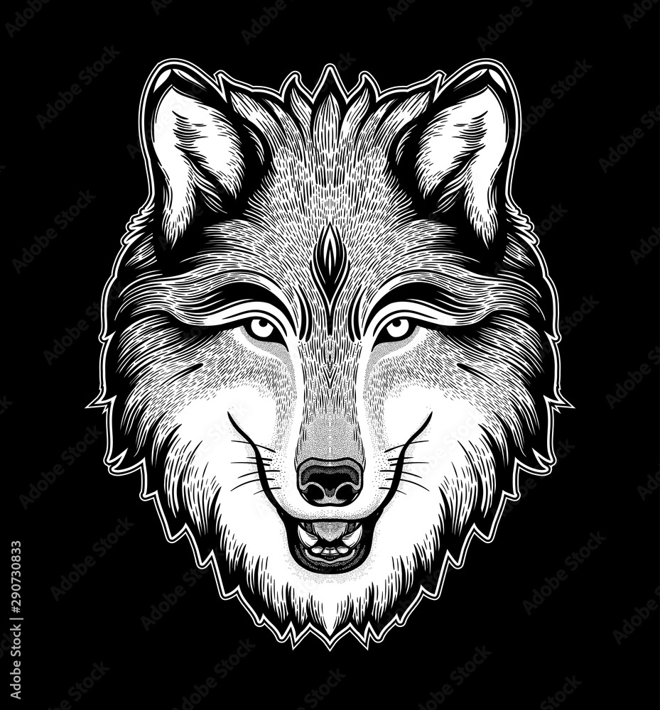 The head of a wolf. Dreamy magic art. Night, nature, wicca symbol ...